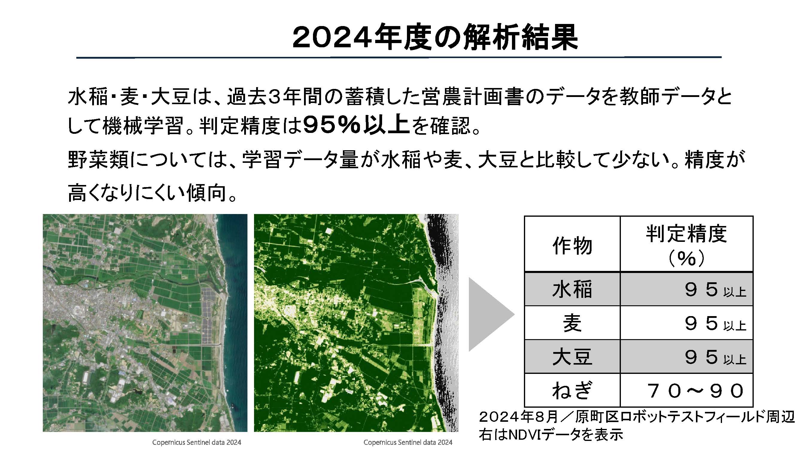 「2024年度の解析結果」と題された南相馬市の資料。「水稲・麦・大豆は、過去3年間の蓄積した営農計画書のデータを教師データとして機械学習。判定制度は95％以上を確認。野菜類については、学習データ量が水稲や麦、大豆と比較して少ない。精度が高くなりにくい傾向。」と記載されている。 スライド左下には衛星画像（原町区ロボットテストフィールド周辺、2024年8月）、右下には各作物と判定精度がリスト化されて掲示されている。 水稲：95％以上、麦：95％以上、大豆：95％以上、ねぎ：70～90％（NDVIデータを表示）